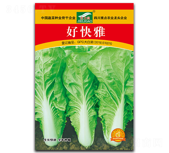 好快雅-快菜種子-全興種業(yè)