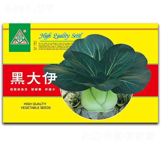 黑大伊-青梗菜種子-全興種業(yè)