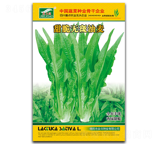 甜脆無(wú)斑油麥-油麥菜種子-全興種業(yè)