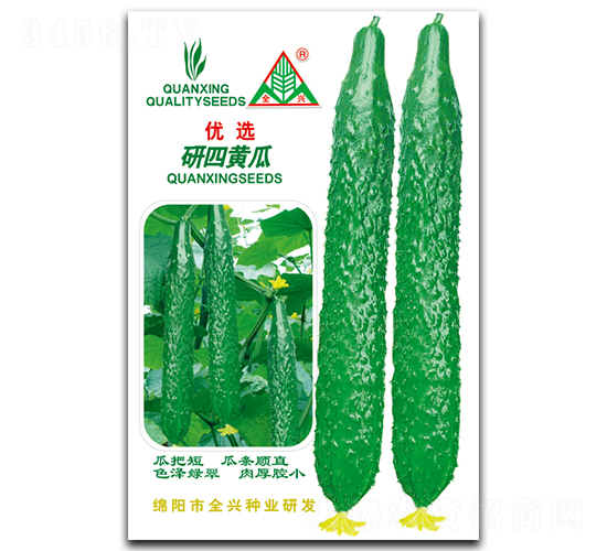 研四黃瓜-黃瓜種子-全興種業(yè)
