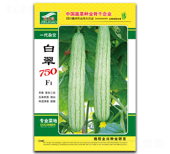 白翠750-黃瓜種子-全興種業(yè)