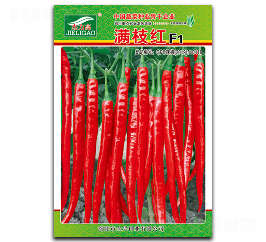 滿枝紅-線椒種子-全興種業(yè)