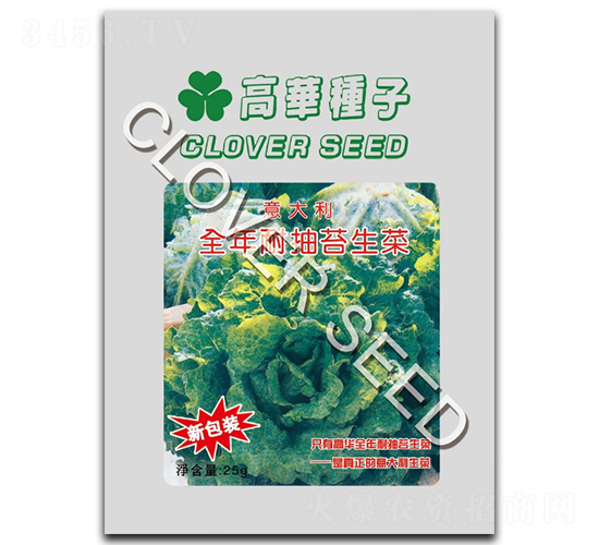 意大利生菜-生菜種子-克勤種子