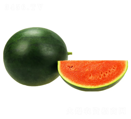 ���B-���ϷN��-���ڷN��