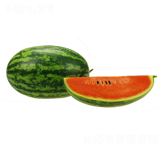 �Ļ��B-���ϷN��-���ڷN��