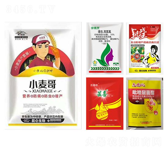 小麥營養(yǎng)增產(chǎn)藥-小麥哥-愛普達