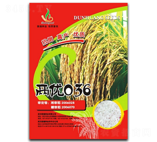 兩優(yōu)036-水稻種子-敦煌種業(yè)