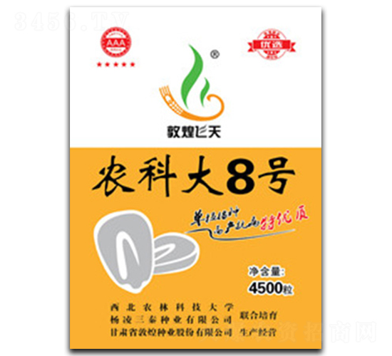 農科大8號-玉米種子-敦煌種業(yè)