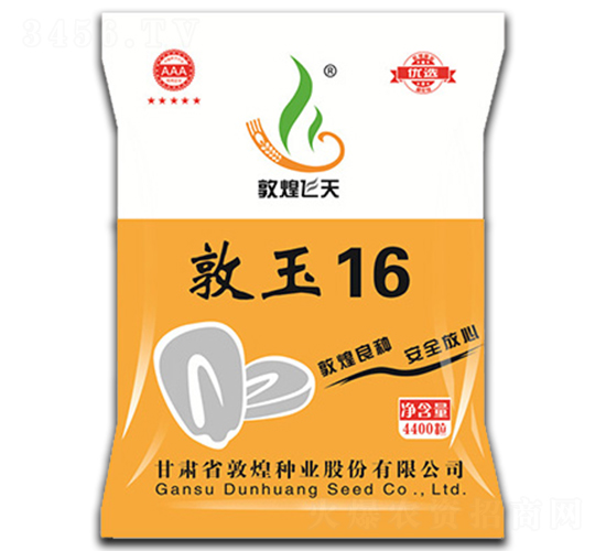 敦玉16-玉米種子-敦煌種業(yè)