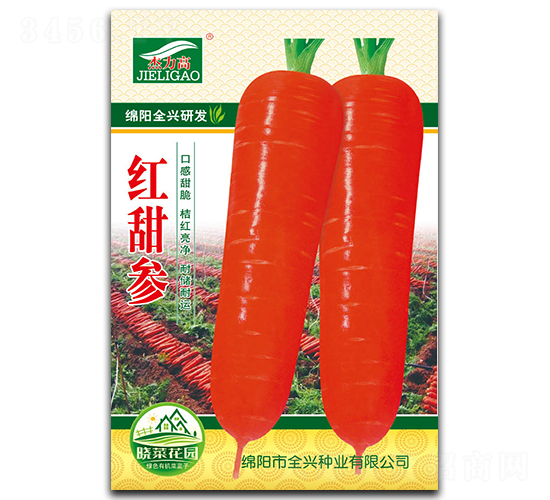紅甜參-胡蘿卜種子-全興種業(yè)