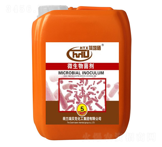 �������������-����ʿ