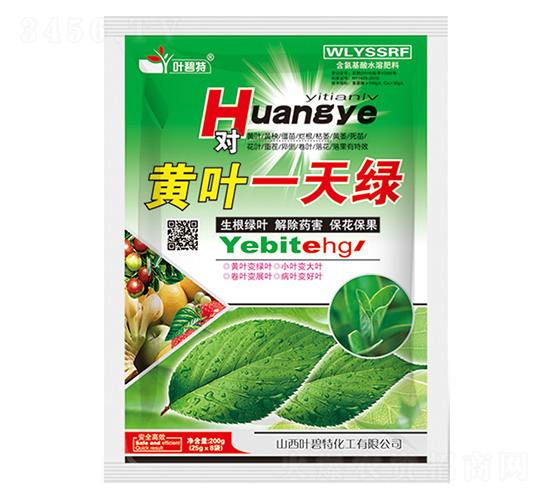 黃葉一天綠-葉碧特