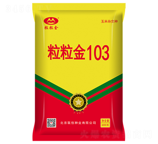 粒粒金103-玉米種子-聯(lián)創(chuàng)種業(yè)