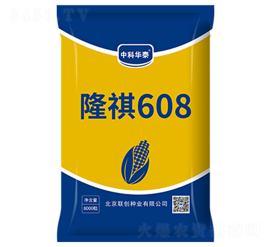 ¡��608-���׷N��-(li��n)��(chu��ng)�N�I(y��)