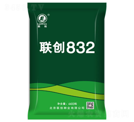 聯(lián)創(chuàng)832-玉米種子-聯(lián)創(chuàng)種業(yè)