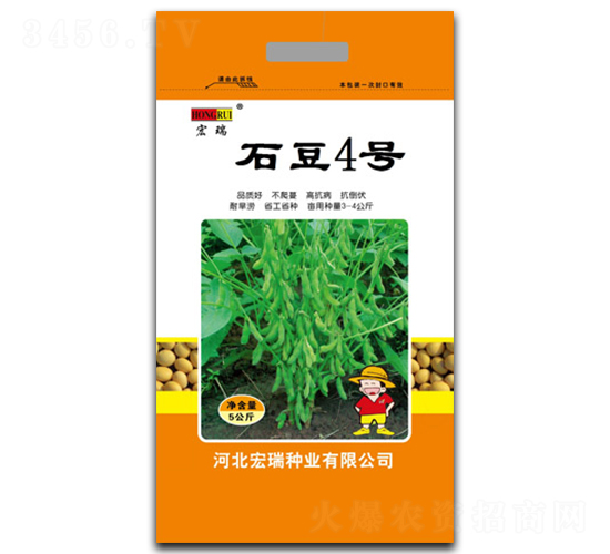 石豆4號-大豆種子-宏瑞種業(yè)