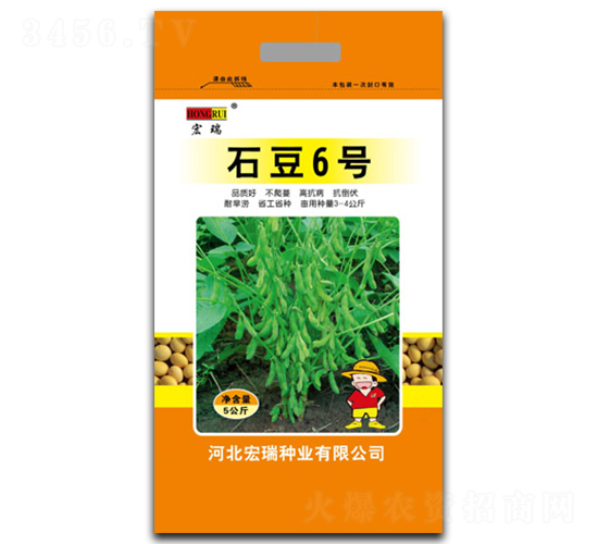 石豆6號(hào)-大豆種子-宏瑞種業(yè)