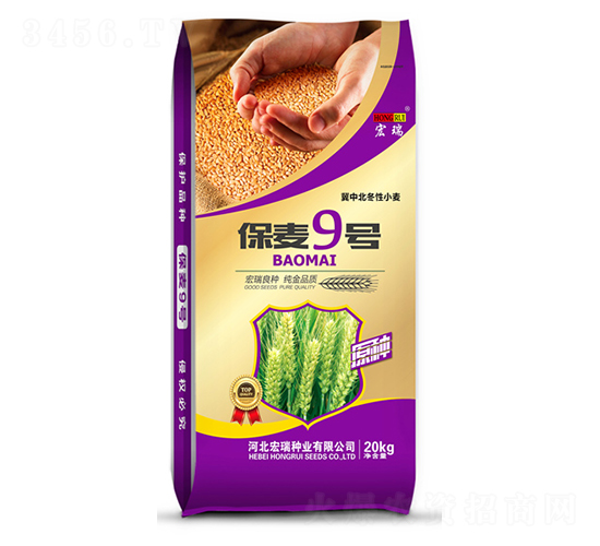 保麥9號-小麥種子-宏瑞種業(yè)