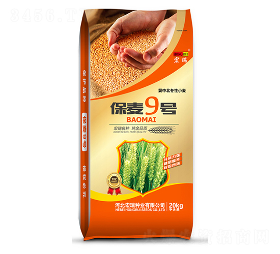 保麥9號（20kg）-小麥種子-宏瑞種業(yè)