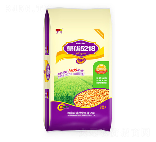 藁優(yōu)5218-小麥種子-宏瑞種業(yè)