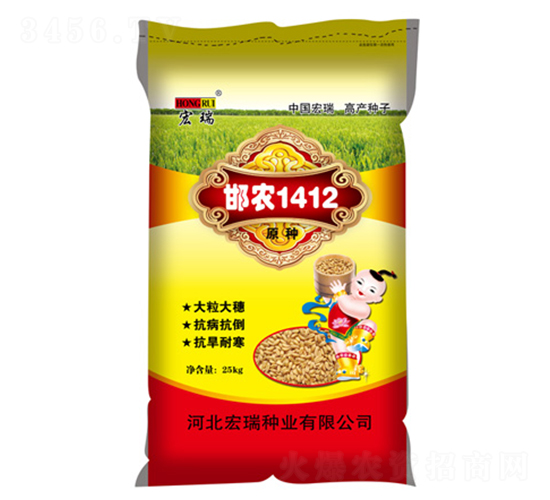 邯農1412（25kg）-小麥種子-宏瑞種業(yè)