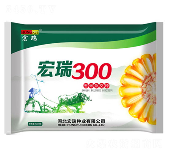 ����300-���׷N��-����N�I(y��)