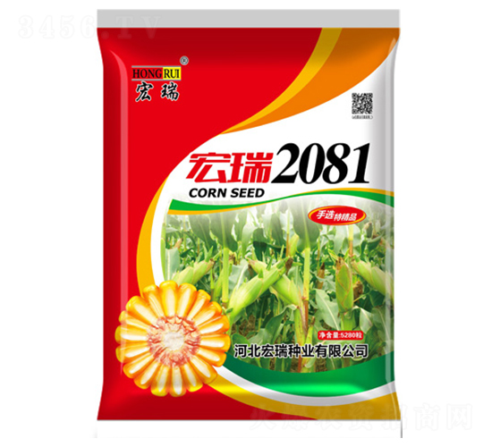 ����2081���t��-���׷N��-����N�I(y��)