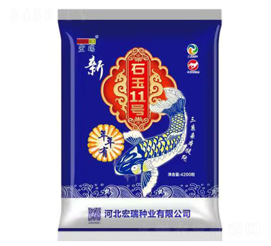 石玉11號-玉米種子-宏瑞種業(yè)