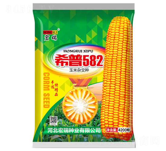 ϣ��582-���׷N��-����N�I(y��)