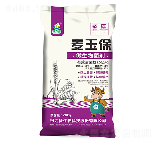 ΢�������-����-������