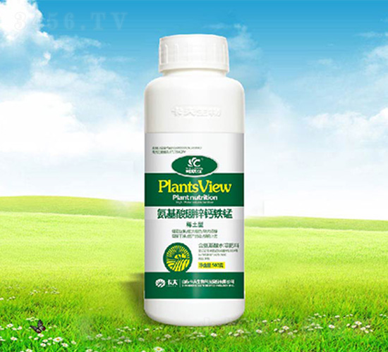 ���������\�}�F�i-����