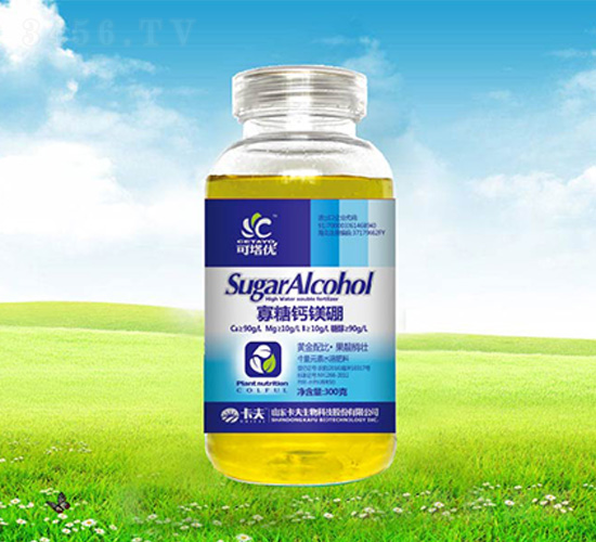 300�˹����}�V��-������(y��u)-����