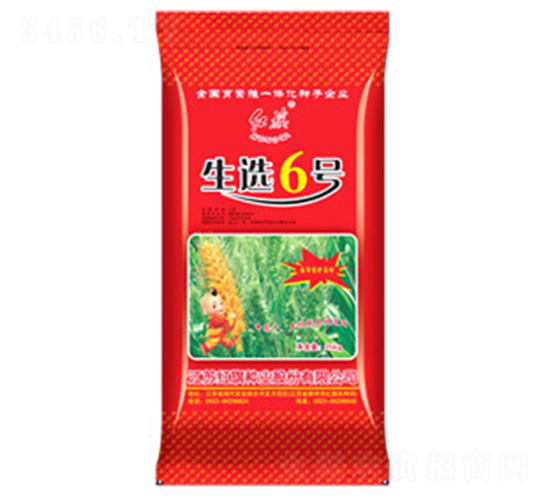 生選6號(hào)-小麥種子-紅旗種業(yè)