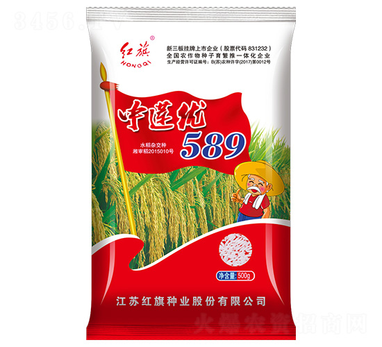 中蓮優(yōu)589-水稻種子-紅旗種業(yè)