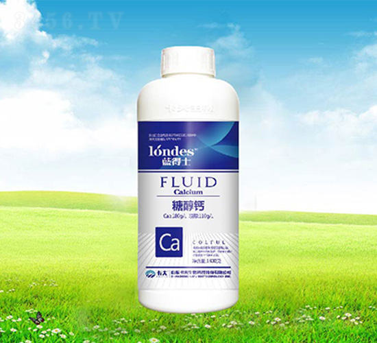 1300���{(l��n)��ʿ�Ǵ��}-����