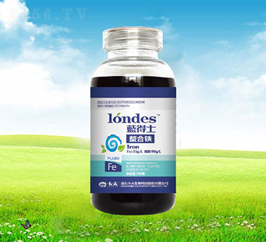 300���{(l��n)��ʿ�����F-����