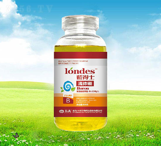 300���{��ʿ���w��-����