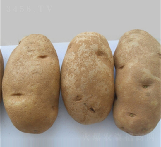 �������-�����N��-���S�N�I(y��)