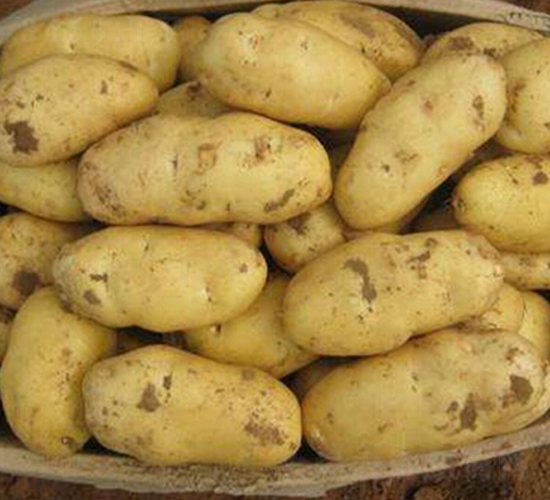 ������12̖-�����N��-���S�N�I(y��)