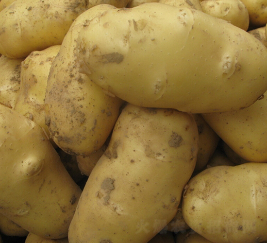 ���S12̖(h��o)-�����N��-���S�N�I(y��)