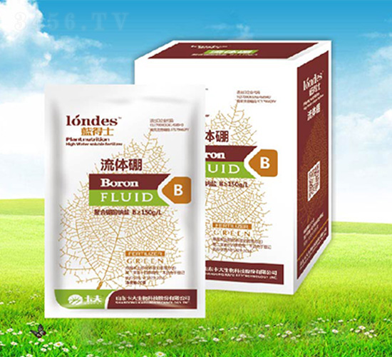 20���{��ʿ���w��-����