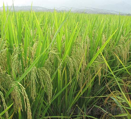 �M��(y��u)��ռ-ˮ���N��-�����N�I(y��)