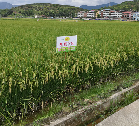 �X��(y��u)930-ˮ���N��-�����N�I(y��)