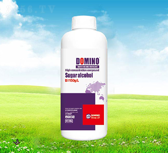 ���w��-�����Z-����