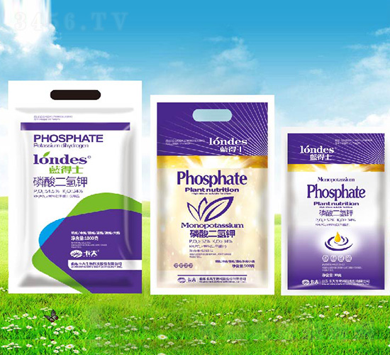 �{(l��n)��ʿ��������-����