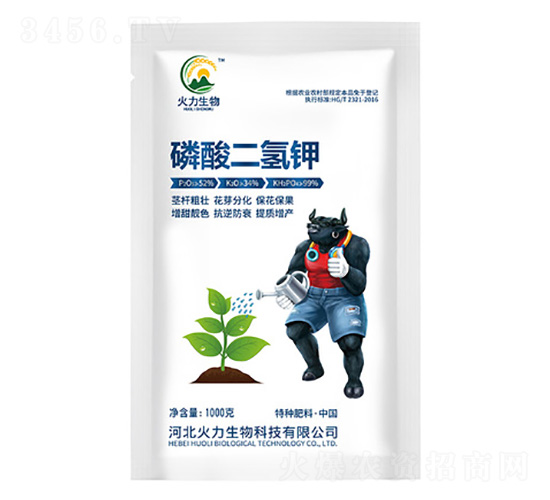 ��������-��������