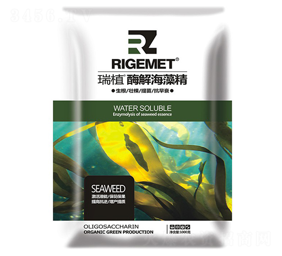 ø�⺣�徫-��ֲ-���w�~��