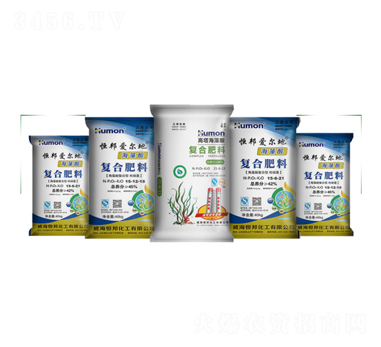 �������(f��)�Ϸ�-����