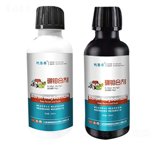 ���f�τ�-�G���S-���_(d��)����