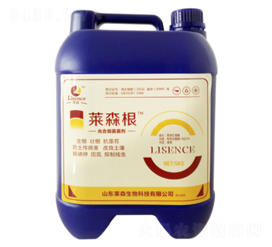 ��ϼ�������-�Rɭ��-�Rɭ����